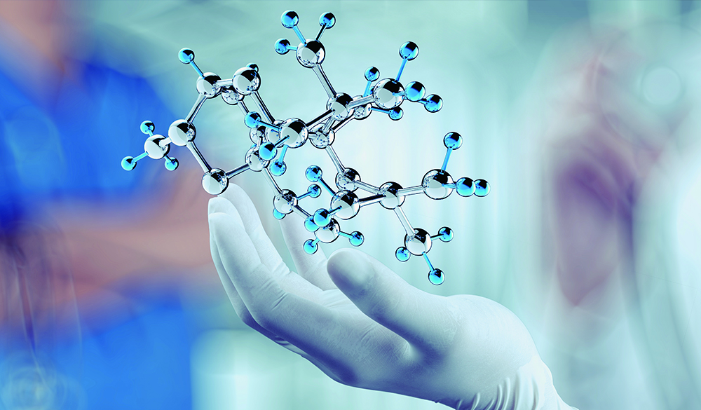 葫芦岛分子生物学实验